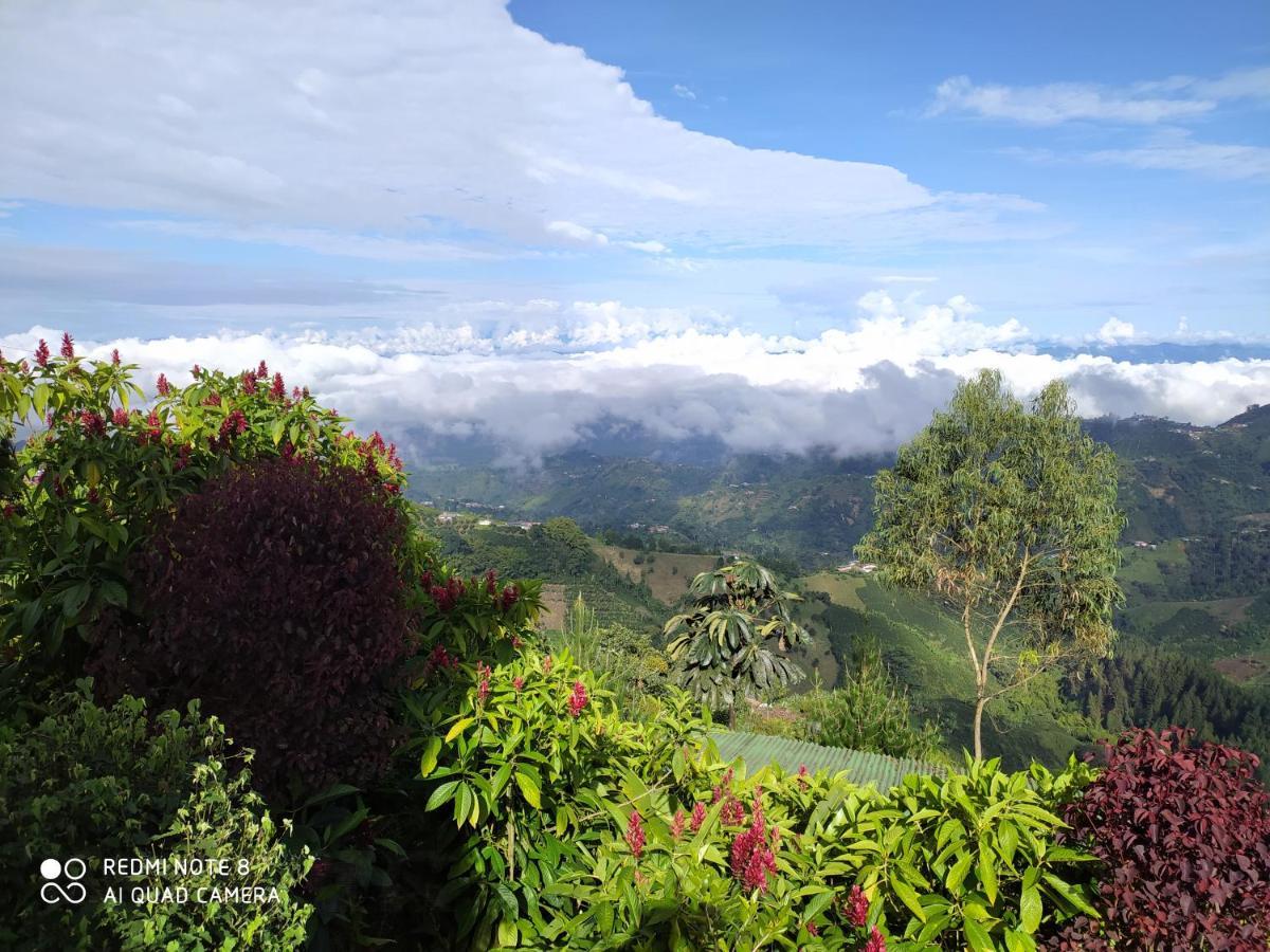 Mirador Morrogacho Bed & Breakfast
