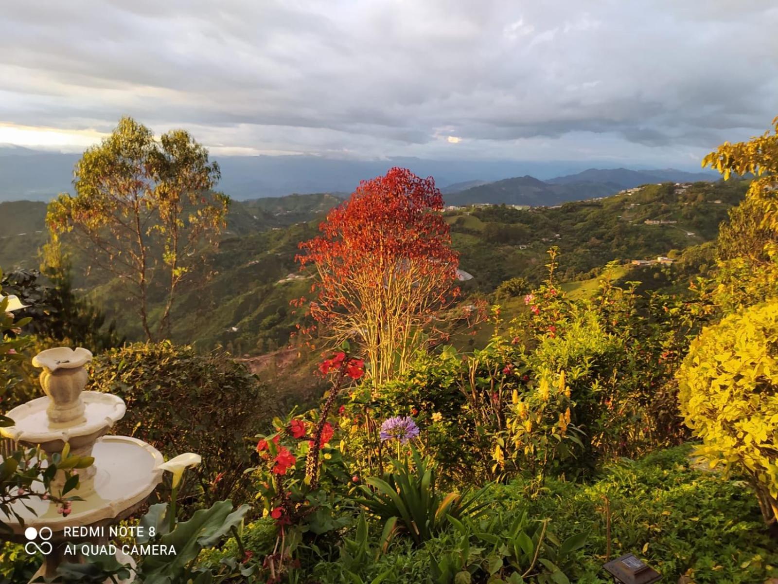 Bed & Breakfast Mirador Morrogacho
