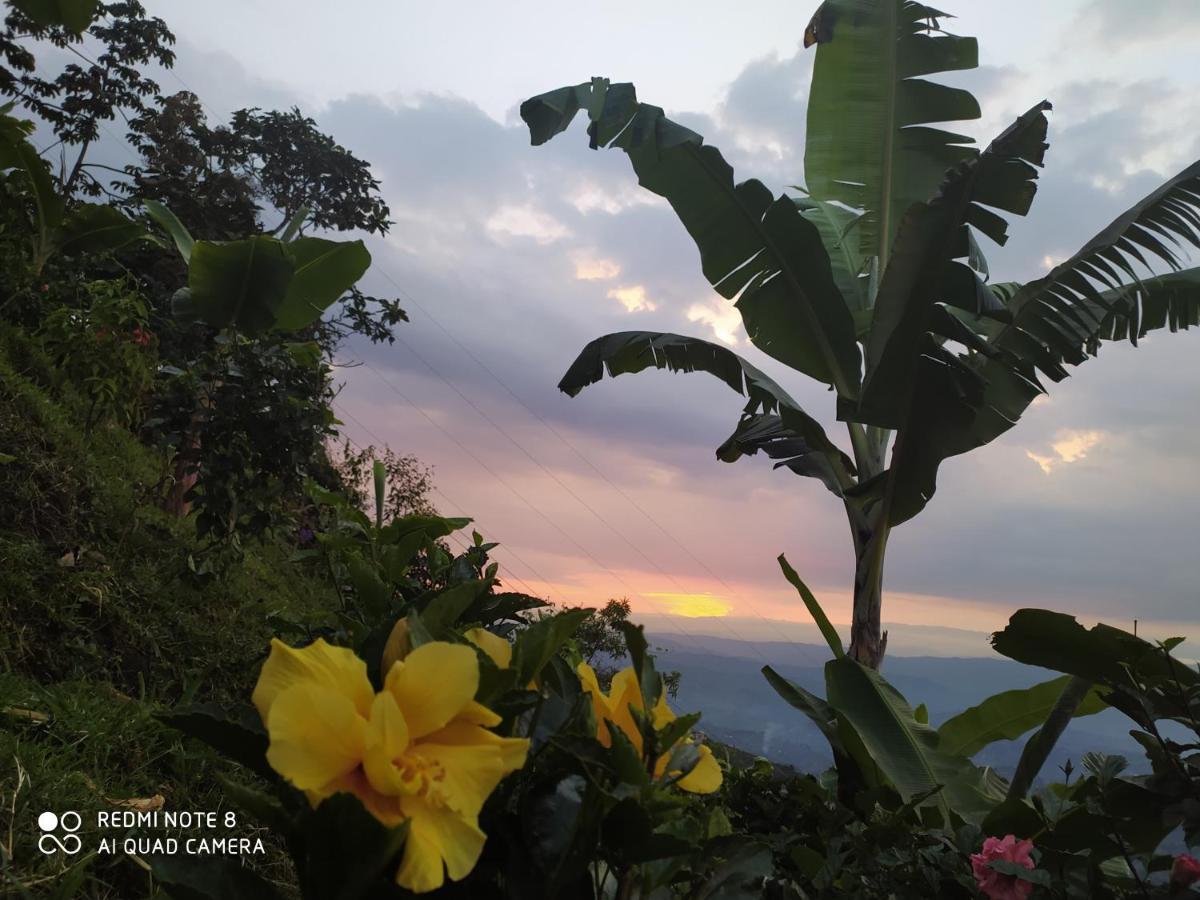 Mirador Morrogacho *