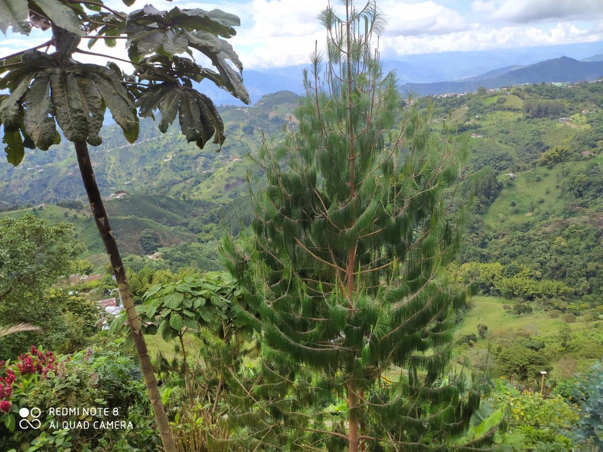 Mirador Morrogacho * La Linda