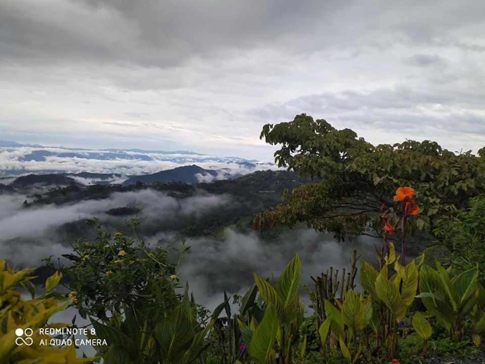 Bed & Breakfast Mirador Morrogacho *